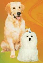 Liverite For Dogs Liverite for Dogs